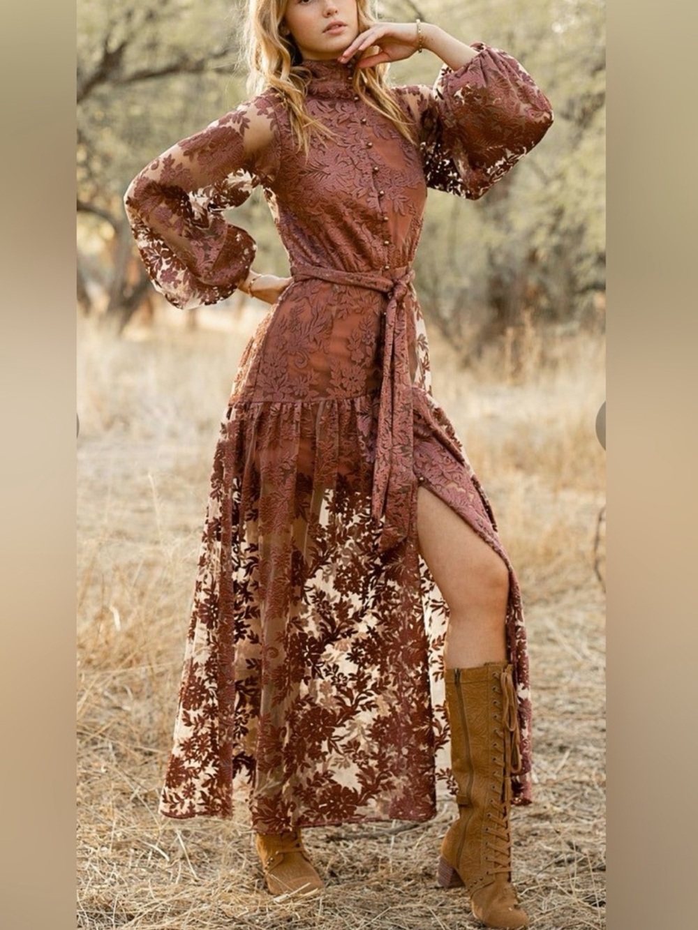 JOYFOLIE Bellana Dress in Rosette Romantic Embroidered Mesh Maxi Dress Size XXS